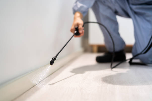 Bed Bug Pre-Treatment Preparation Assessment in Crossville