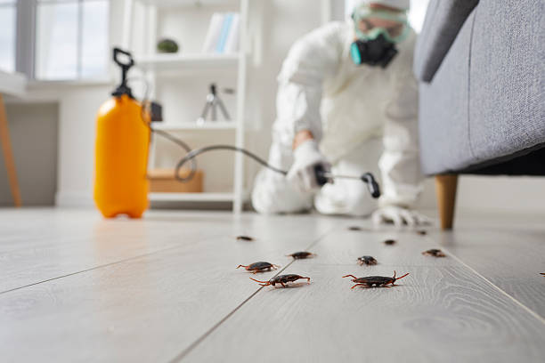 Post-Treatment Bed Bug Interceptor Monitoring in Crossville