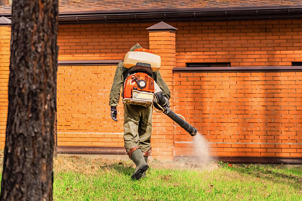 Bed Bug Clearance Verification and Documentation in Crossville